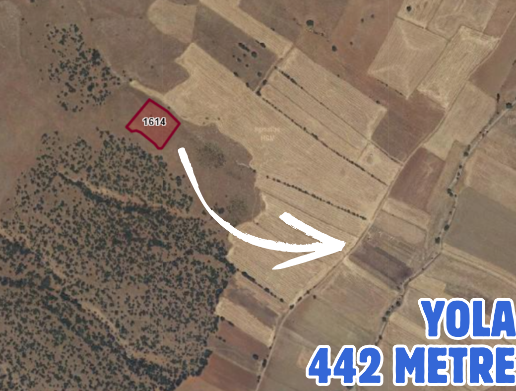KONYA KADINHANI ŞAHÖREN 6.100 M² TARLA SATILIKTIR - KONYA KADINHANI fotoğraf 3